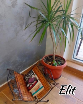 Apartman ELIT Srebrno jezero